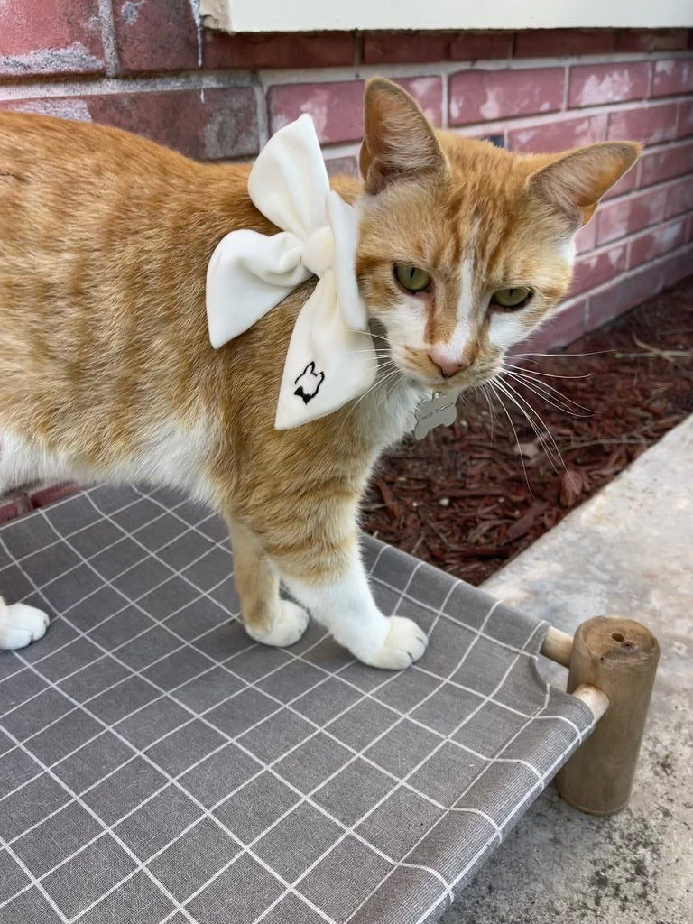 Darling Sailor Bow