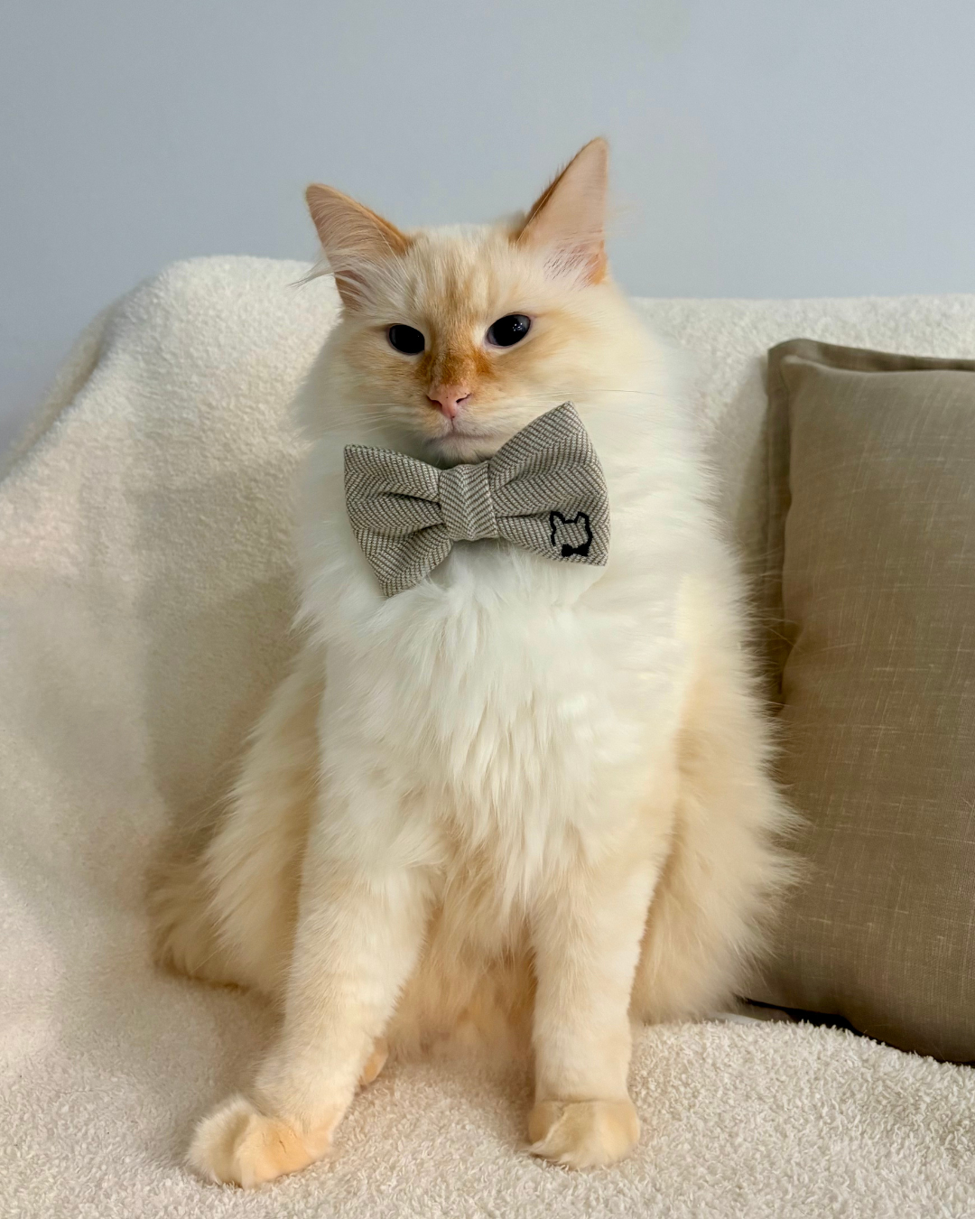 Heritage Tweed Bow Tie