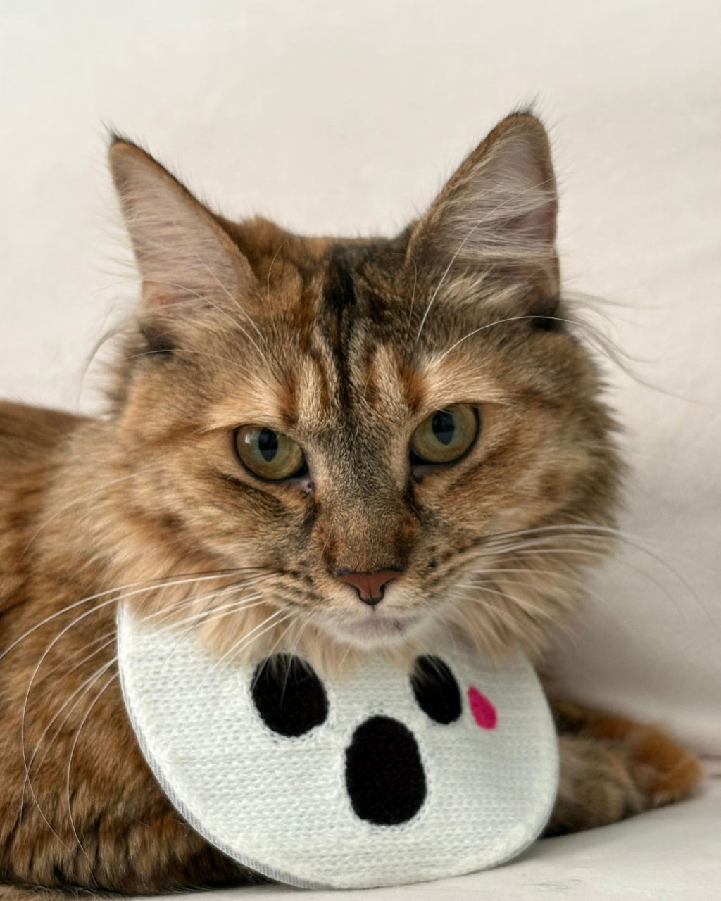 Halloween Bibs