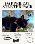Dapper Cat Starter Pack