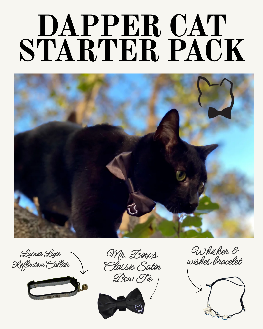 Dapper Cat Starter Pack