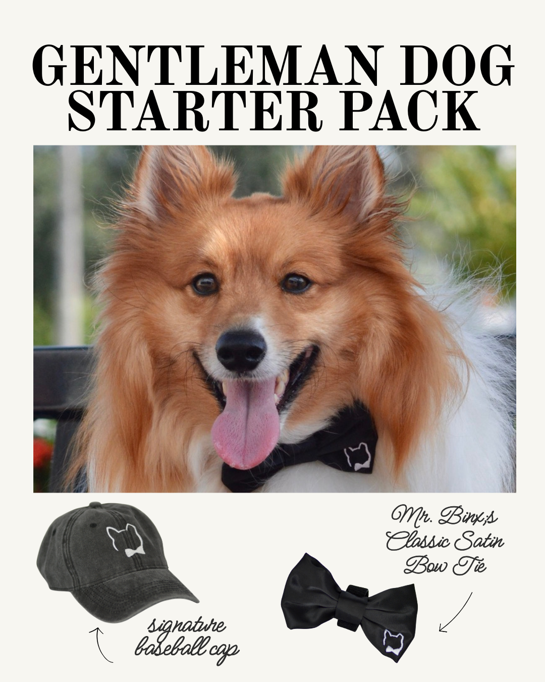 Gentleman Dog Starter Pack