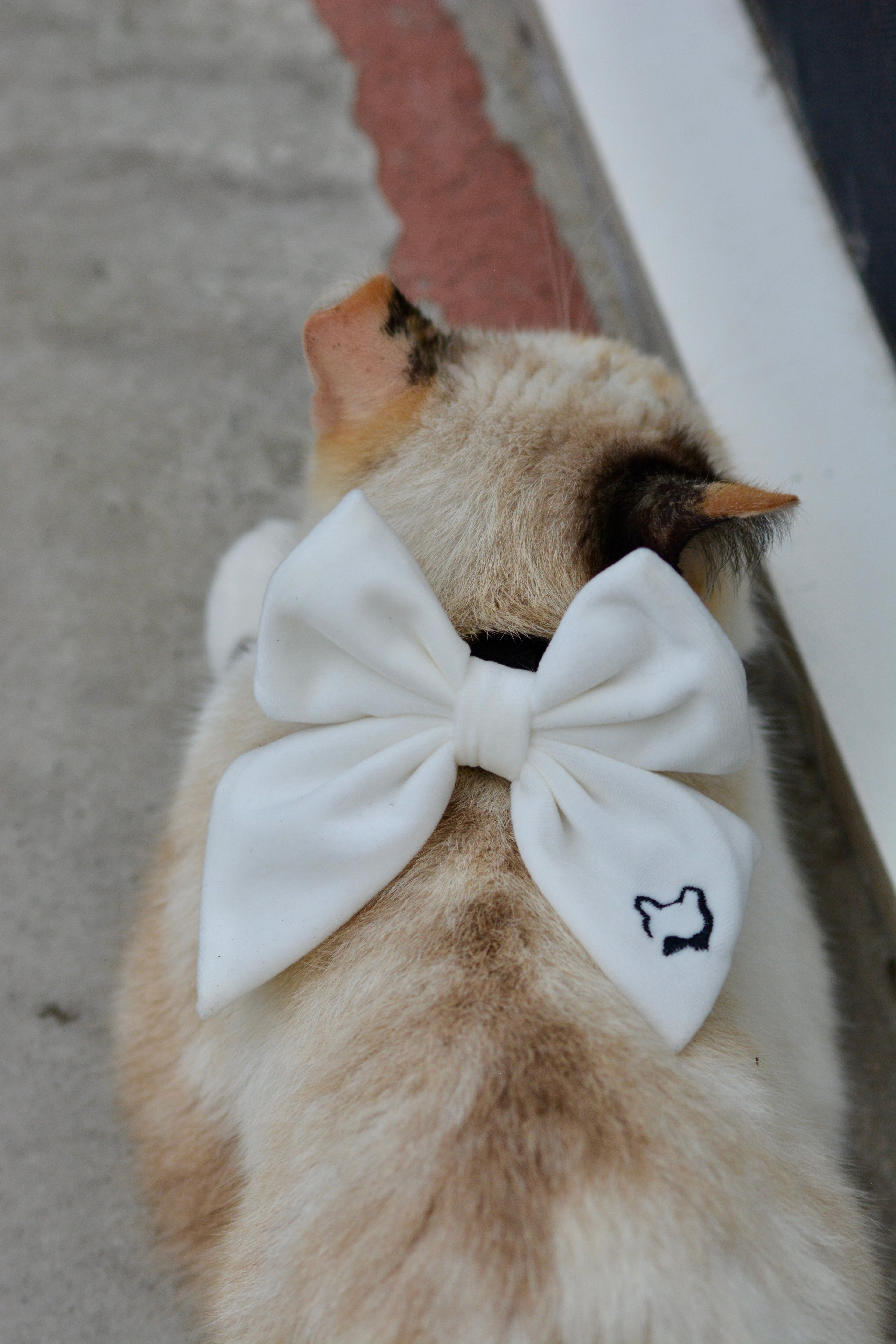 Darling Sailor Bow