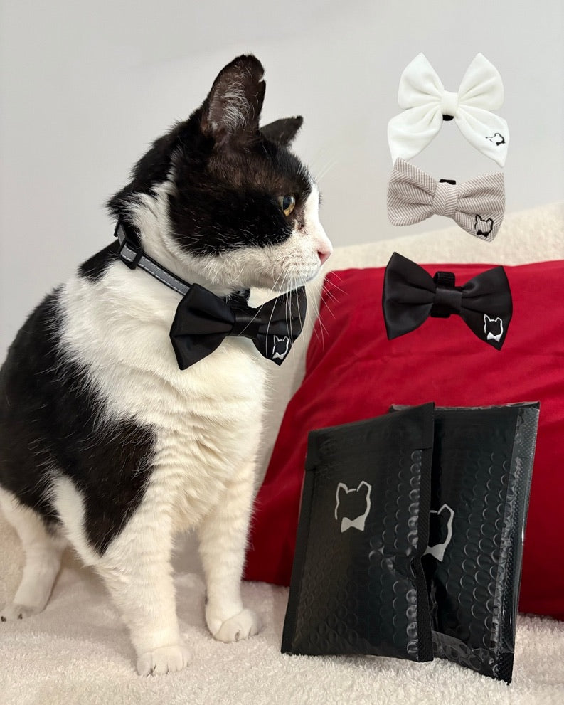 Mr Binx's Classic Bow Tie