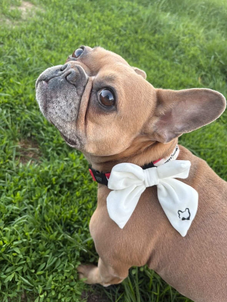 Darling Sailor Bow