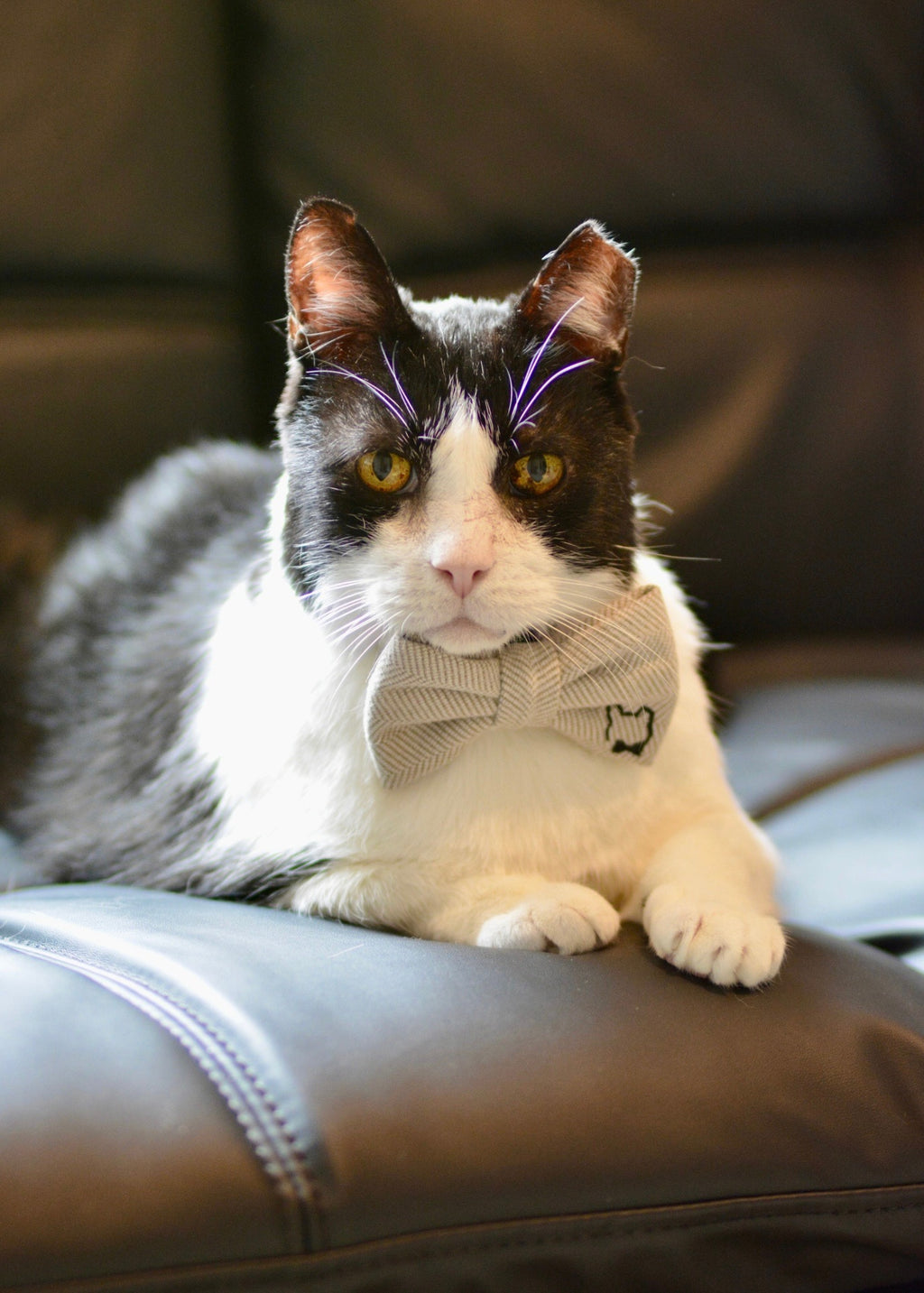 Heritage Tweed Bow Tie