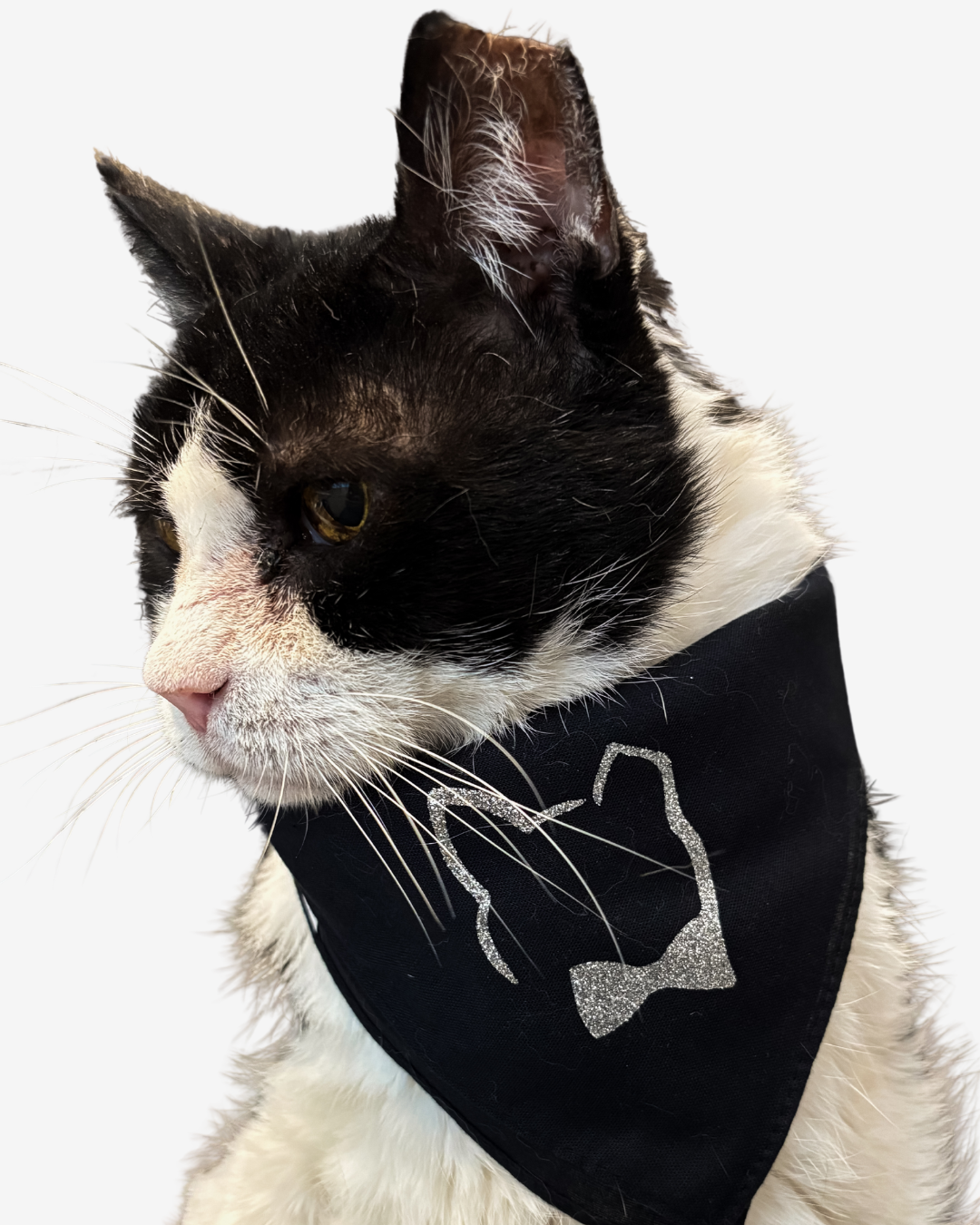 Signature Bandana