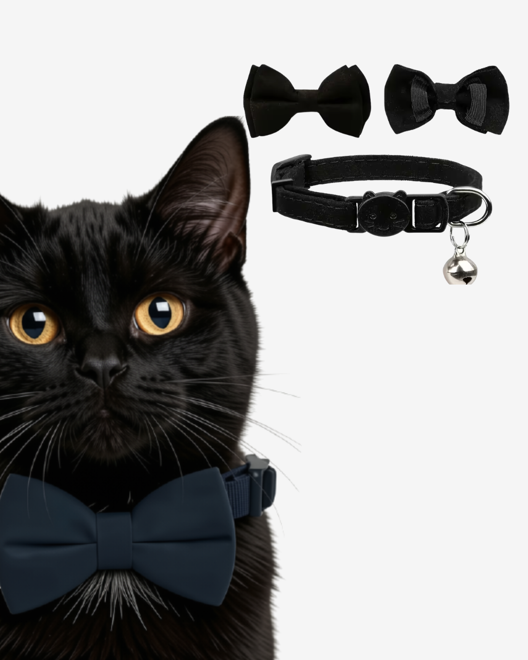 The Lucky Bow + Collar Set