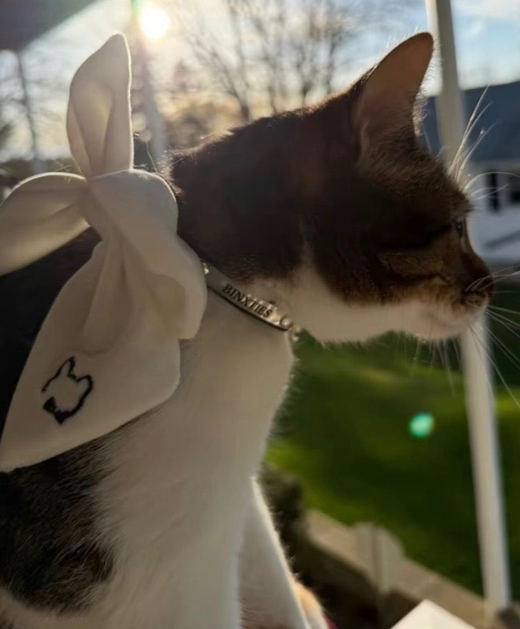 Darling Sailor Bow