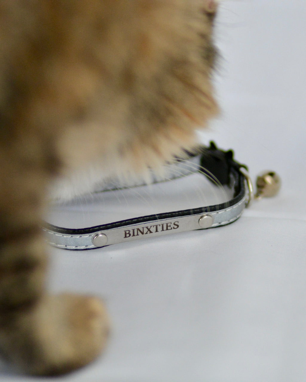 Lumina Luxe Reflective Collar